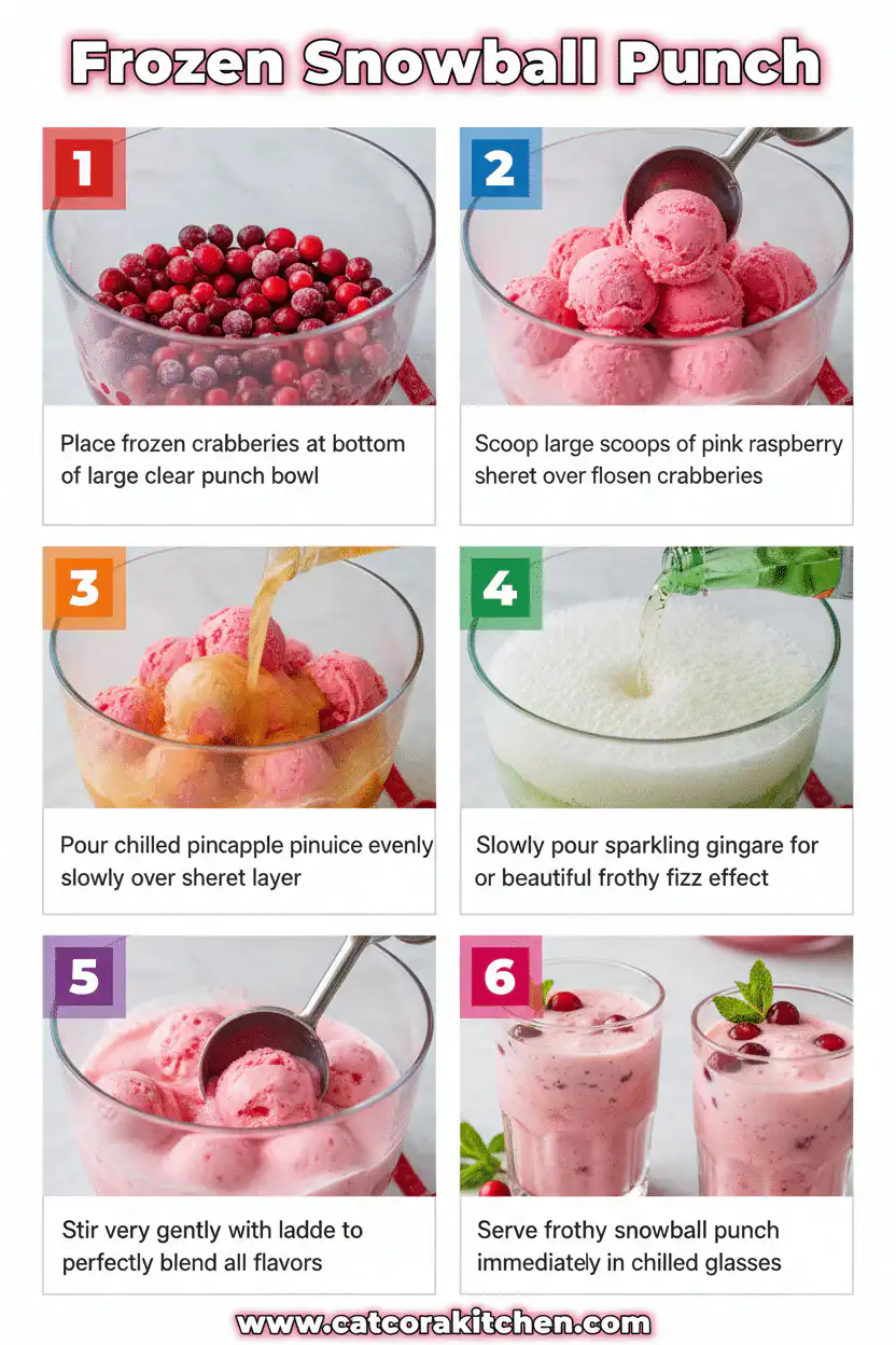 Frozen Snowball Punch How to Make 