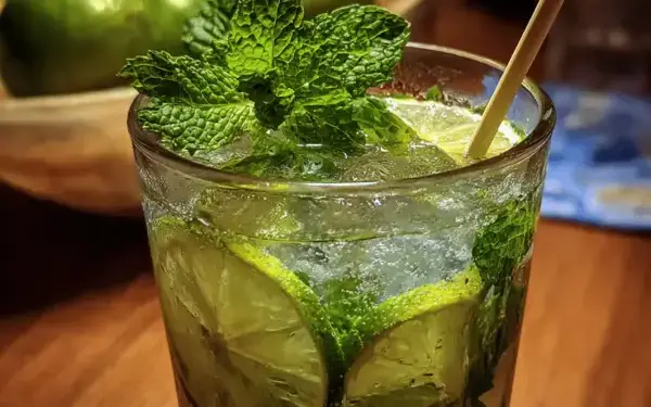 fresh mint mojito