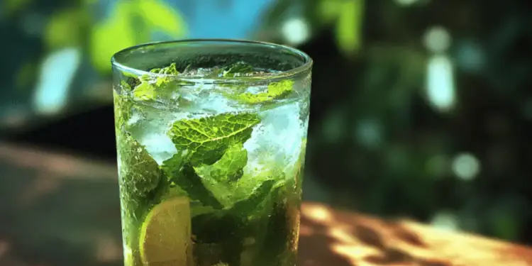 fresh mint mojito