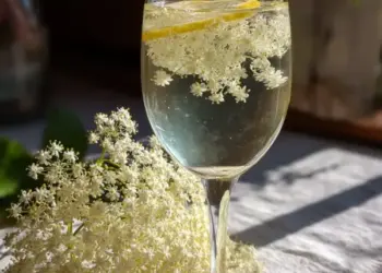 elderflower spritz