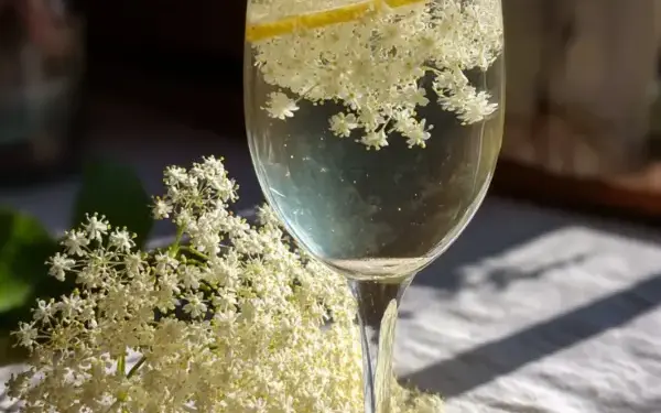 elderflower spritz